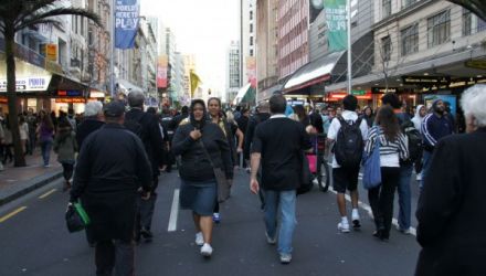 2011: The Year Auckland Shared