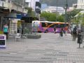 Minding Your Bus Manners In Wellington (Photos)