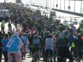 Harbour Bridge Cycle Race Approved