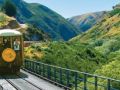 Dunedin RWC Trains Unpopular