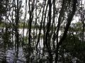 Over 60 Missing In Queensland Floods