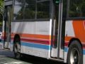 62 More Dominion Rd Bus Trips A Day