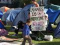 Judge Orders Out Occupy Auckland