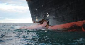 Rena Tauranga Ship Disaster Photos Videos