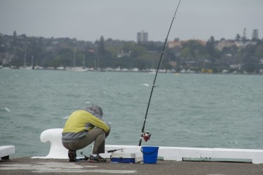 fisherman Devonport